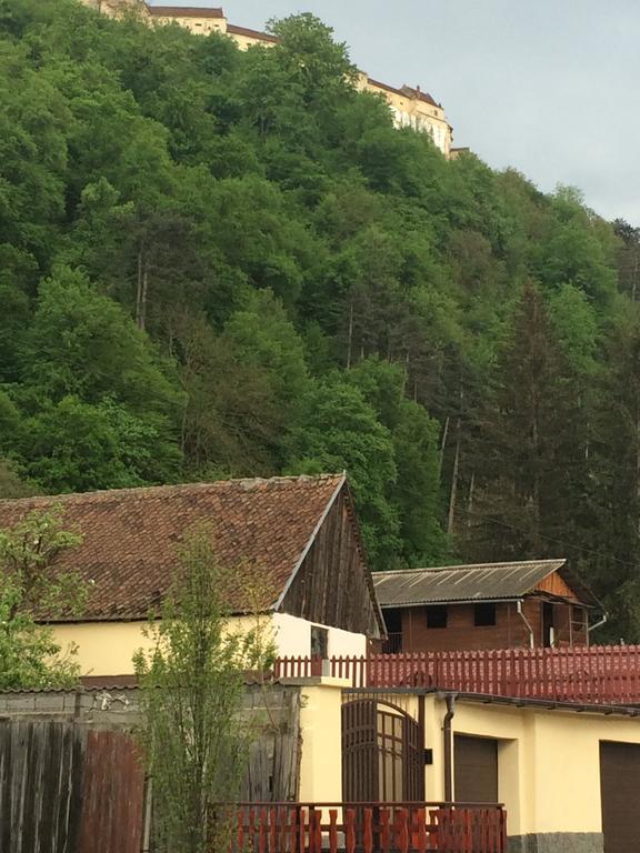 Apartament Teilor Rîşnov エクステリア 写真